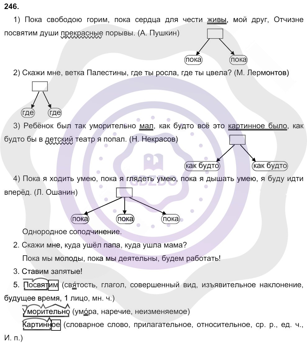 Ответы ГДЗ Русский язык за 9 класс Упражнения: 246